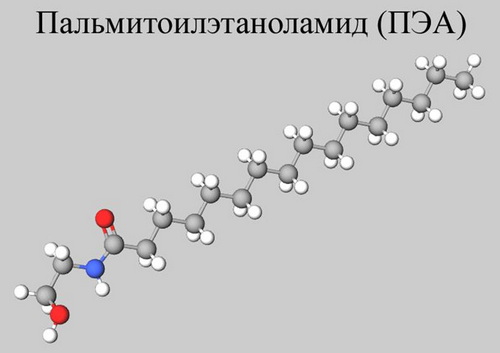 neurolipid w500